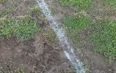 El PSOE denuncia el lamentable estado del estadio municipal Francisco Bonet: una imagen que no representa a Almuñécar y La Herradura