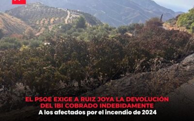 El PSOE exige explicaciones inmediatas a Juan José Ruiz Joya por cobrar el IBI rústico a familias afectadas por el incendio de 2024