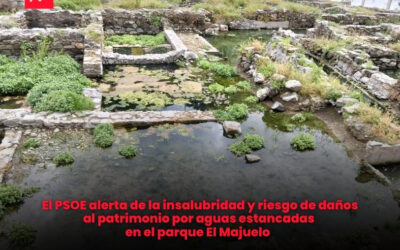 El PSOE alerta de la insalubridad y riesgo de daños al patrimonio por aguas estancadas en el parque El Majuelo