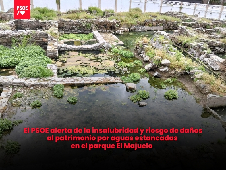 El PSOE alerta de la insalubridad y riesgo de daños al patrimonio por aguas estancadas en el parque El Majuelo