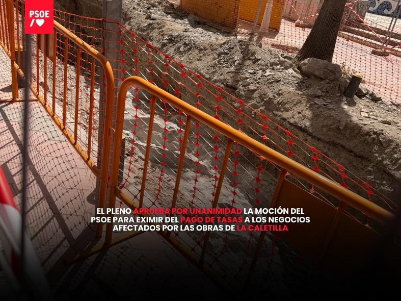 El Pleno aprueba por unanimidad la moción del PSOE para eximir del pago de tasas a los negocios afectados por las obras de La Caletilla